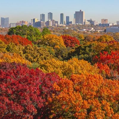 SGovin7's profile picture. 