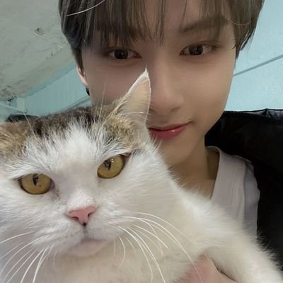 junpipiroti's profile picture. BBB(⁠⑉⁠⊙⁠ȏ⁠⊙⁠)
Caratdeobi42💎📢💌|  Book worm 📚❤️‍🔥sometimes ⚡reader, sometimes 🐢.
Reading books and seeing seventeen are my medicine🩹💊
日本語を勉強中 📚🍀