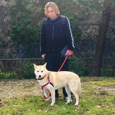 landa20220121's profile picture. L＆A（@LA20220201）求人アカウント✨20代~40代の方募集中✨基本ポストは🐶達と😋🍴✨TikTokライブ毎日配信中⇒ https://t.co/gHwMvy2Vi0