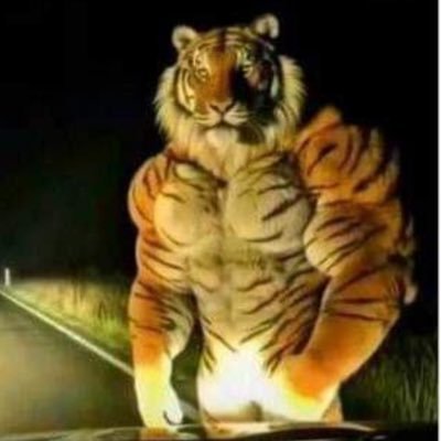 userpickedoff's profile picture. 