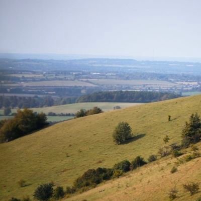 Freo2161911's profile picture. 6'4 Reasonable Anglican α☧ω