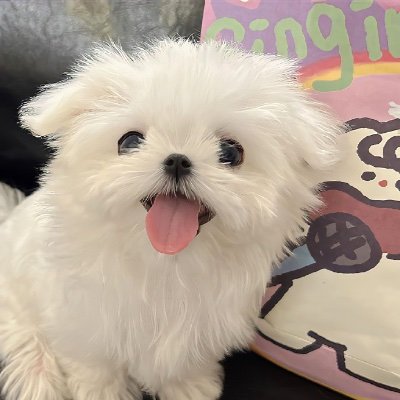 jhonliu666's profile picture. 