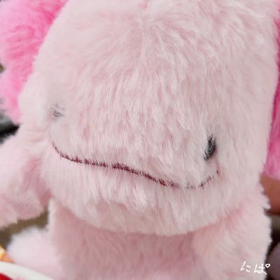 2ps_pt's profile picture. ウーパールーパーのにぱちゃん中心のぬい撮り、お出かけ記録アカウントです🩷ぬいぐるみと過ごされてる方のお写真見るの好きです