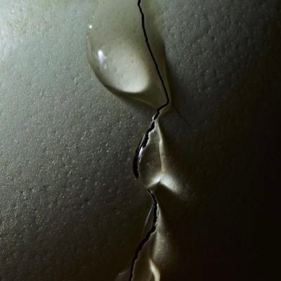 mutualexclusi0n's profile picture. Pour les vrais fans