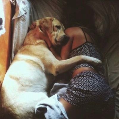 GODDESS377522's profile picture. Tap the link on my bio.... @Let's get really wild
Dm for wild and exclusive contents zoo contents
beastality
@Prettysissygodess