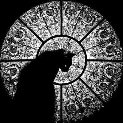 xcxzxczcz's profile picture. 