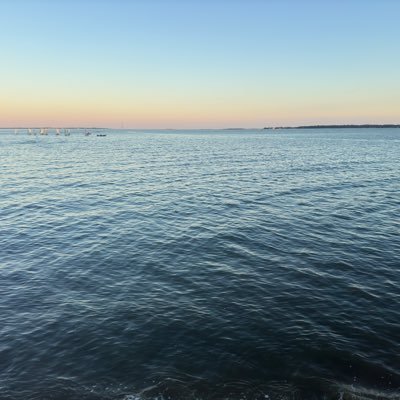 TheYungExec's profile picture. 