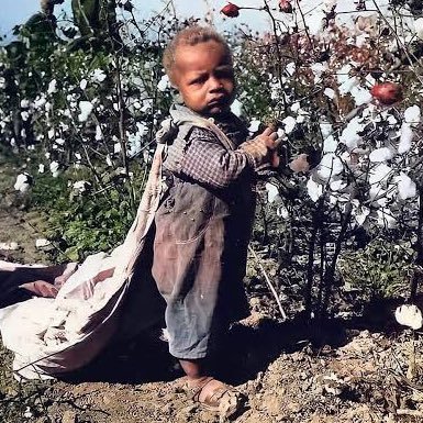 KalelLev's profile picture. K.Lev. (From the Rebellious House of JUDAH) 🕎👑🦁💦🧬APTTMH AHAYAH ASHAR AHAYAH BAHASHAM YASHAYAH 🕎👑🦁KJVA:Deuteronomy 28:15-68 a sign and a wonder from TMH!