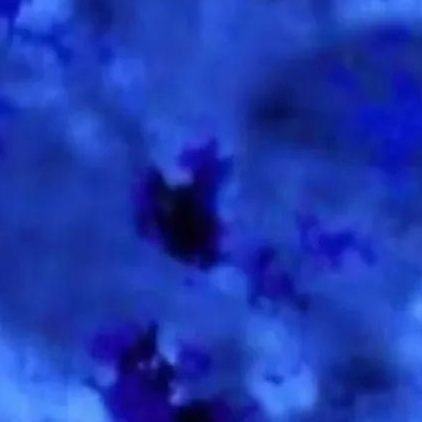 cota070979's profile picture. ⚖️ recargada