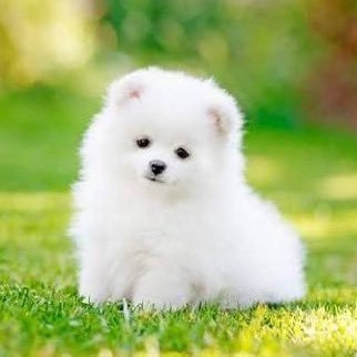 thelearningotis's profile picture. hi | minor | black | he/they l i use toonsquid and ibispaint for all my art stuff