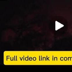 MaddieUf80713's profile picture. Original video link 👉https://t.co/2w41O8dN7g