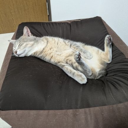 hukuhuku_gongon's profile picture. 好きな事だけつぶやきます。
なのでフォロー、フォロー返しは殆ど致しません。
悪しからず。