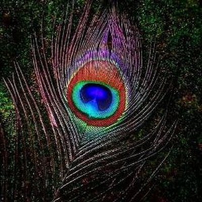 KeertiChougala's profile picture. 