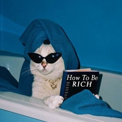 sundx__'s profile picture. 