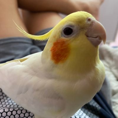 Mixfly69's profile picture. 