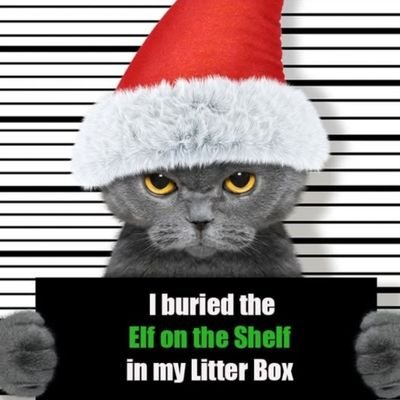 honeywhite2023's profile picture. 