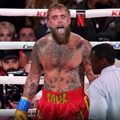 LPollostv's profile picture. 📸