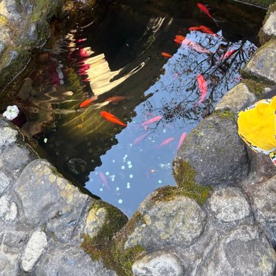 fcywny's profile picture. 何时