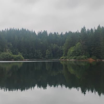 rachelcoderr's profile picture. 