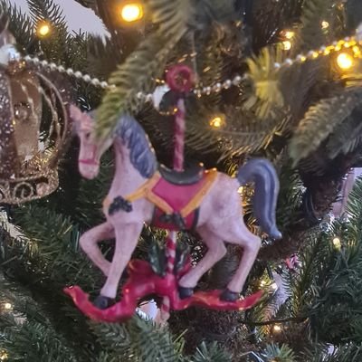 cvrooijen's profile picture. Het gaat om vooruitgang niet om perfectie. En oh ja; amor fati.