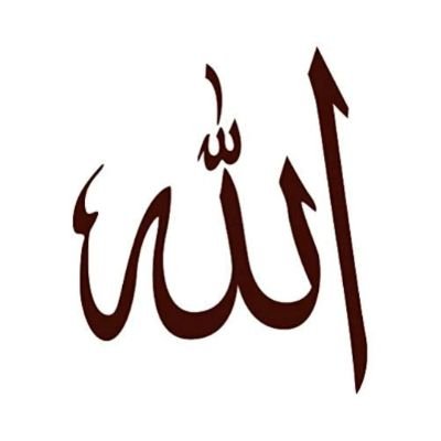 SezginSoglu's profile picture. 