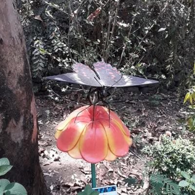 learning45378's profile picture. Fun vibe Chai lover ☕ | Life explorer 🌍  Random thoughts 💭