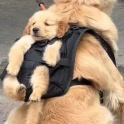 DarwinGuailla's profile picture. 