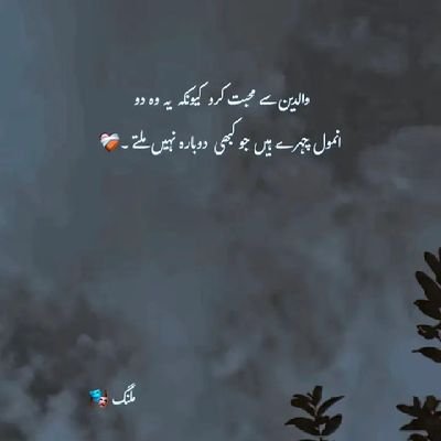 BajfdaAlfie's profile picture. 