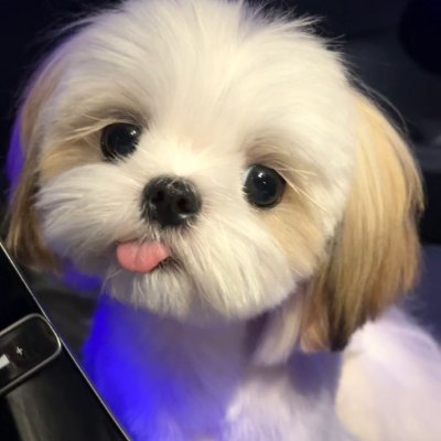 szkowz's profile picture. 業界No.1を本気で狙う【お水専門紹介会社】の代表してます。港区メインですが全国対応可能。飲み屋探してる子・高待遇で働きたい子は絶対見て👇