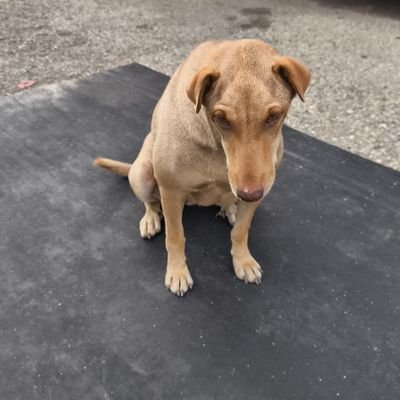 mp_nuy's profile picture. นัดตอก  สาวแท้ สาวแท้ สาวใหญ่