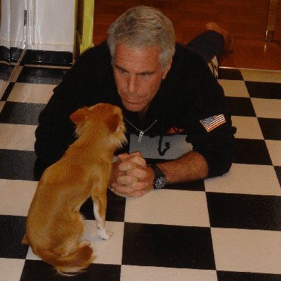 internetquant's profile picture. kors seller