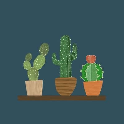 smolpace's profile picture. brain dump • kidult