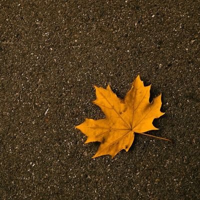 gyattt3333's profile picture. 💎