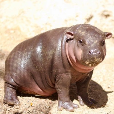 fifteenthvibe's profile picture. 