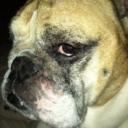 CindyArnone's profile picture. 