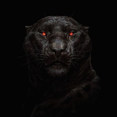 Hi_IamShivN's profile picture. 