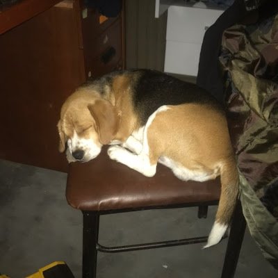 CalderonWa91667's profile picture. 