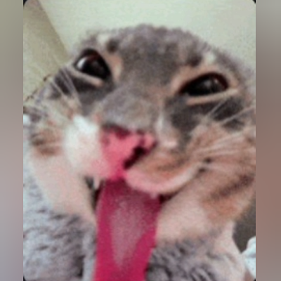 EmyOliveir52346's profile picture. 