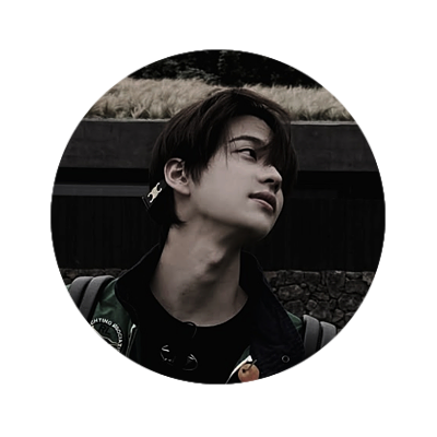 hasnjin's profile picture. unlabeled,