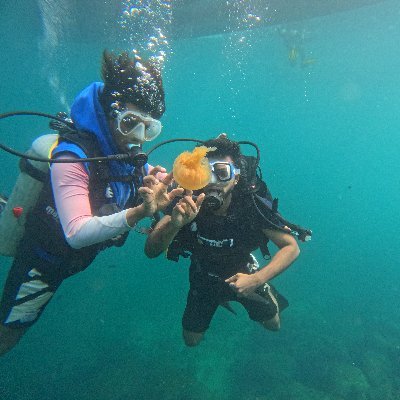 jithins4nkar's profile picture. internet researcher, breaking and building things