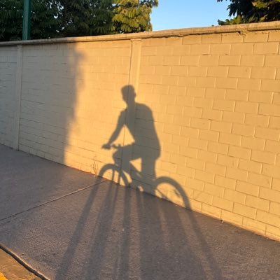 WallWall1494059's profile picture. 