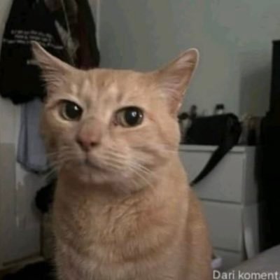 oboii09's profile picture. Oh, I’ll never let you go, dear.