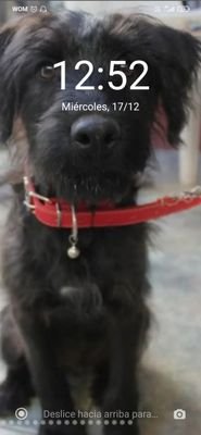 CergioHarabena's profile picture. Sans-culotte, cantor popular, rojo, alboadicto, transhumante y obrero ''...que es mejor cantando, que la pena pasa y todo tiene su porque.''