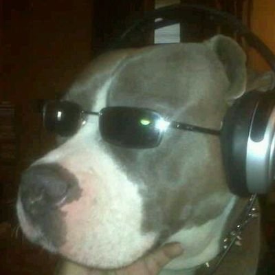 kiiltomatriisi's profile picture. wannabe goth girl nd tactical rpg enjoyer playing hockey and fantasizing abt cars || msu neuro | mechegr | biomedegr