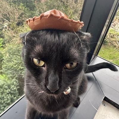 oestagiarioplus's profile picture. tentando ser o cara da ti - concursos - games - nerdices