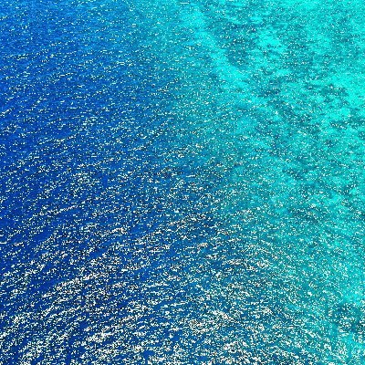 spectcharted14's profile picture. 