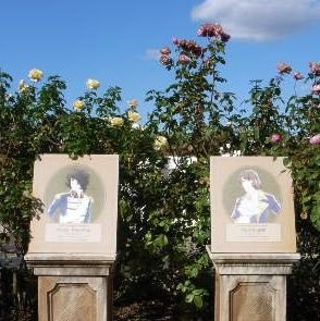 tmrQhWSHbwY7ElK's profile picture. 一般レベル以下のリターン系レトロゲーマー。

好きな曲はGameMusicや昭和、平成の歌謡曲全般です。

趣味→RC、一眼レフ、タイピング、ピアノ、自作・ジャンクPC・カメラ、二輪車、ロードバイク、園芸、読書、釣り、将棋、囲碁他。

ここ最近、ミョーに初代 AFTER BURNERにハマリ気味‼️😅