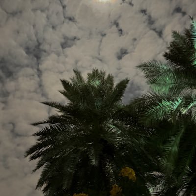 Hxrtxxv's profile picture. 🦷