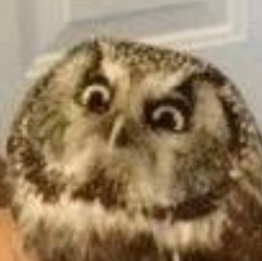 RedactedRaptor's profile picture. 