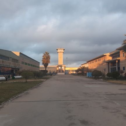 csifcpcordoba's profile picture. 